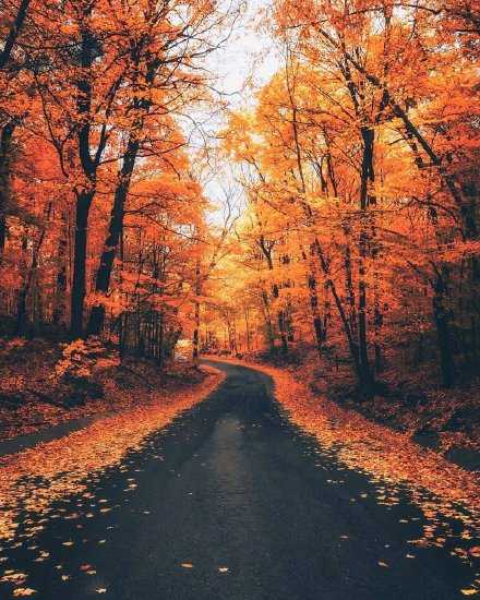 苦练七十二变，才能笑对八十一难。