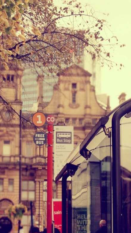 我对未来的构想大概是这样：家人安在，挚友一二， 喜欢的人久伴不弃，对曾经不无后悔，对未来愈战愈勇。