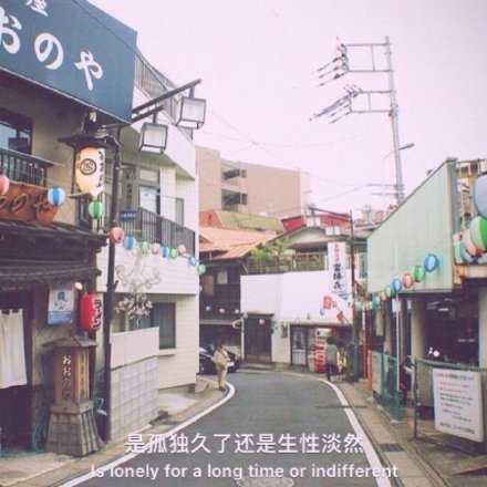 是孤独久了 还是生性淡然