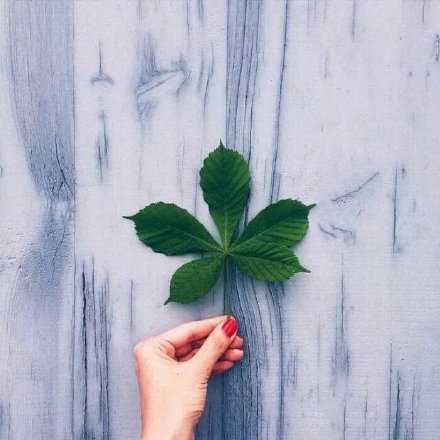 我只说从今往后，不说今日以前。