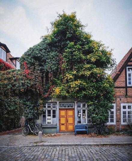 你若知道别人有多努力，就不会再虚度当下的光阴了。