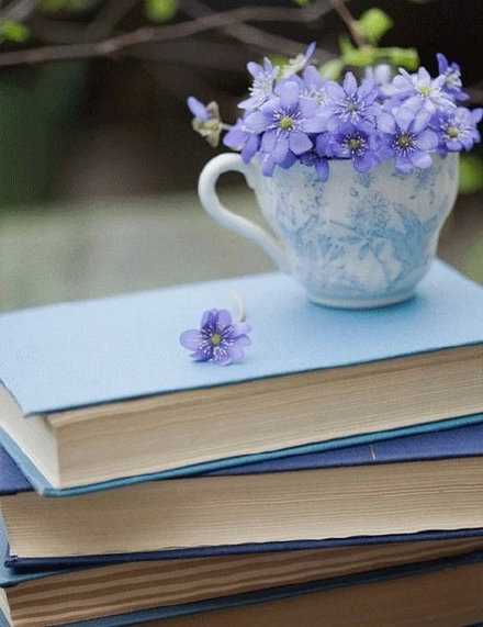 读一本书，好比往怀里揣一个铜子，一个一个地攒，看起来无足轻重。等到需要的那一天，你就是那个腰缠万贯的人。