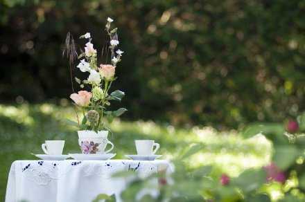 当我们以积极的心态生活，就会发现许多美好的东西；而当我们以消极的心态生活，就会发现许多沮丧的东西；生活的快乐与烦恼，全在于你对生活的态度。乐观向上，好运不断；失落沉沦，厄运陪伴。逆境时，不妨换一个角度来思考，凡事往好处想，因为，好的心态决定好的命运！