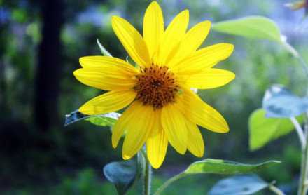 相信时光，也相信缘分。缘来缘去，我自安然。早安。