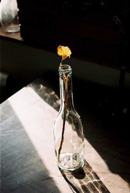 “孤独让你清醒”