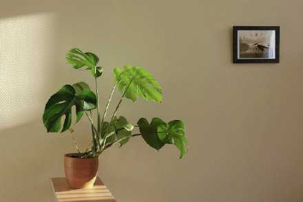 在舞曲和欢笑声中，我思索人生。在沉思和独处中，我享受人生。