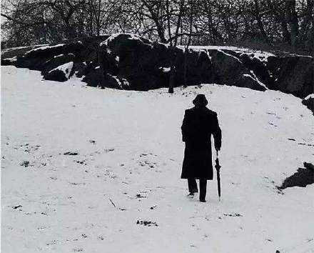 人从悲哀中落落大方走出来，就是艺术家。