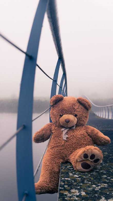 如果可以安逸 那么谁又会选择颠沛流离