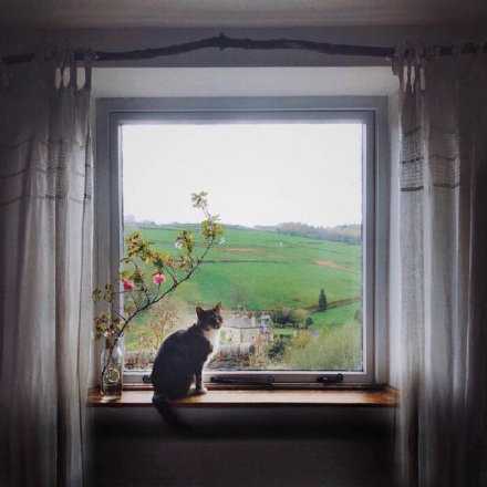 众所周知 微信和朋友圈是两个软件 他发朋友圈 不代表他有空回你消息