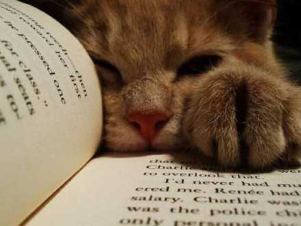 有时候顺其自然是最无能为力的一种情绪 因为你改变不了什么 你只能接受