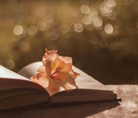 你心中有过去一段美丽的经历，好好珍藏，但千万别拿出来跟现在比，比不出成熟，比不出幸福，也比不过时间！