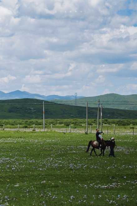 不要根据别人对待你的方式来衡量自己的价值。