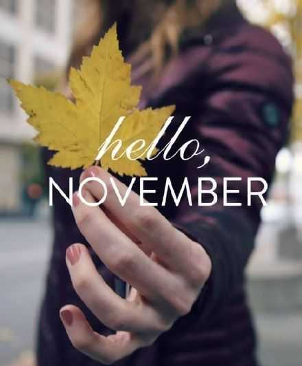 十一月，你好！希望这个月过的好一点。