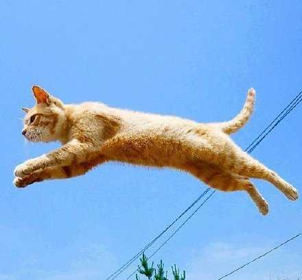 十一月了，愿你接下来能跳过所有的坎坷和不顺。