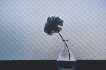 任何让你感觉到不舒服的关系有第一次就一定会有第二次，忍气吞声从来都不是维持一段关系的方法，只会变本加厉地恶化下去，赶紧跑掉撇清才是保持日后快乐的秘诀！