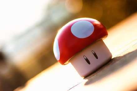 慢慢的，长大了，却感觉变沉默了，懂得多了，却不快乐了。