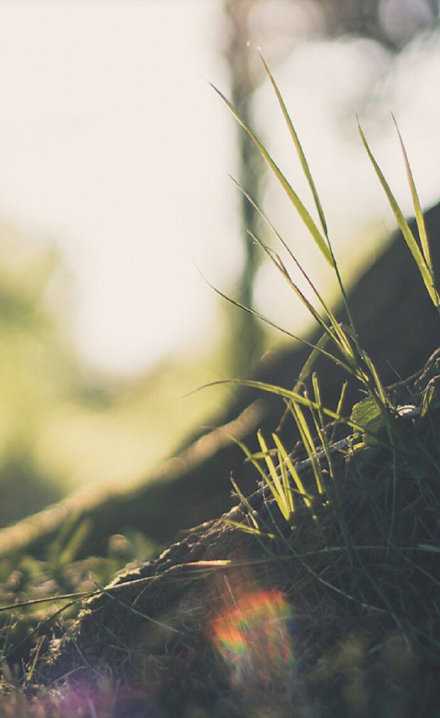 听过无数话看似都很有道理，但我最信两句：一个物以类聚，一个因果报应。