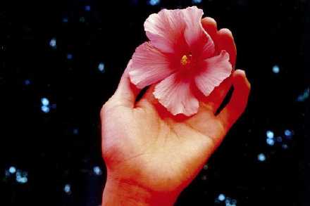 错的人来来走走 对的人终会停留