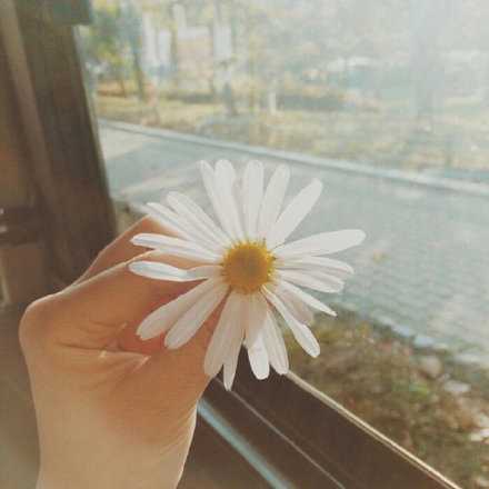 你什么时候随缘 什么时候就顺利 当你无所求时 才会无所不有