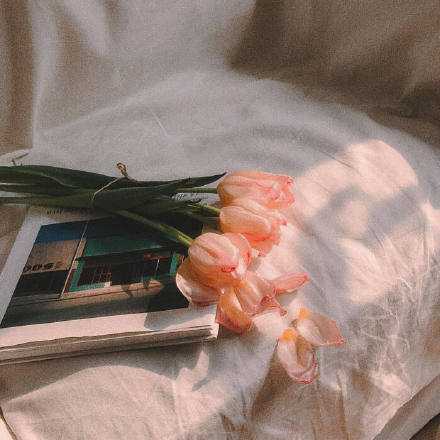 所有的事情到最后都会好起来的，如果不够好，说明还没到最后。