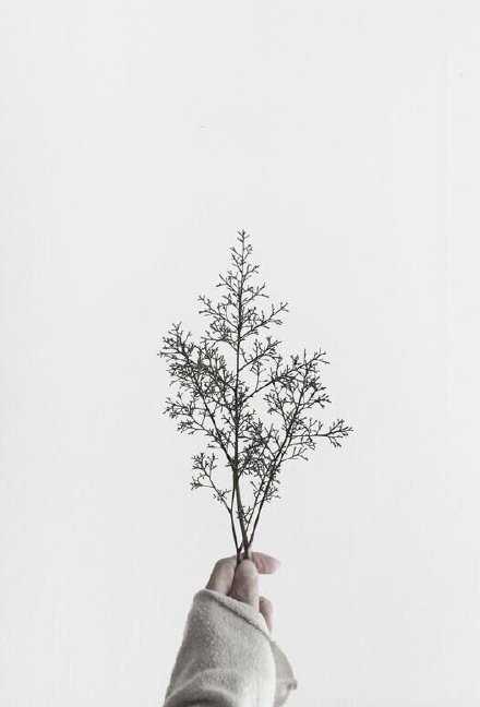 思考的意思是：亲近自己。