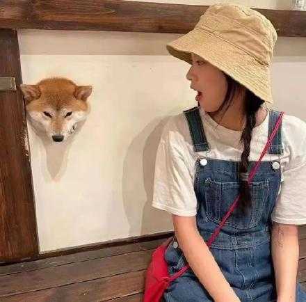 梦想就是梦里想做的事 醒来后努力去实现