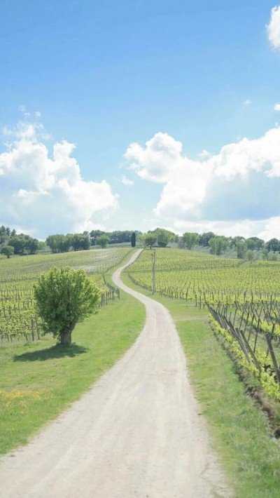 最好的人生状态：安于得失，淡于成败，依旧向前。