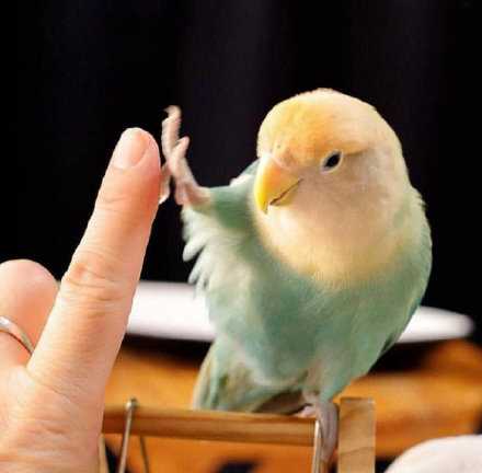 明天开始，一切朝着最好的方向发展~