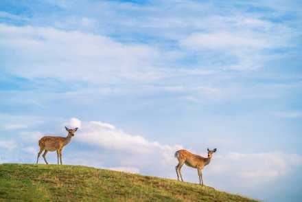 小小的山丘在你的面前特别障眼，你要做的是越过它，不要唠叨，因为你的身后有一个长情的世界，它在默默等候。