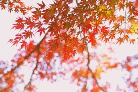 无论你活成什么样子，都有人说三道四。这个世界，我们只来一次，吃想吃的饭，见想见的人，看喜欢的风景，做喜欢的事。