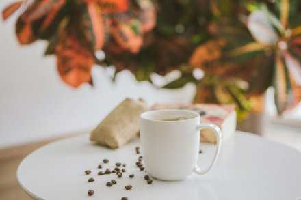 我们所要做的事，应该一想到就做；因为人的想法是会变化的，有多少舌头，多少手，多少意外，就有多少犹豫，多少延迟。