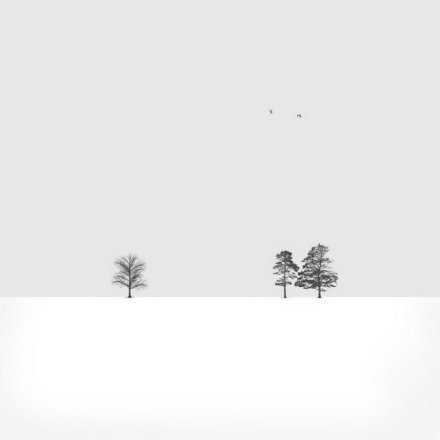 先安己心，才能安人。