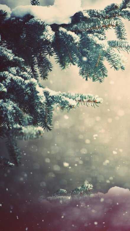 一转眼秋天变成了故事，冬天变成了风景。