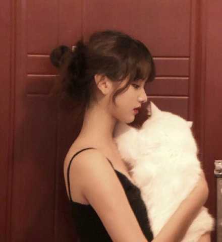 会有人代替我 没关系 也会有人替代你