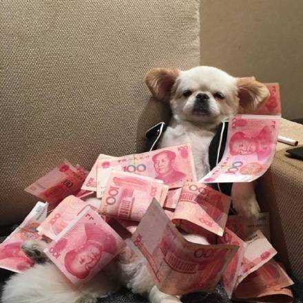 钱能给人带来世上最最宝贵的东西——不求人。