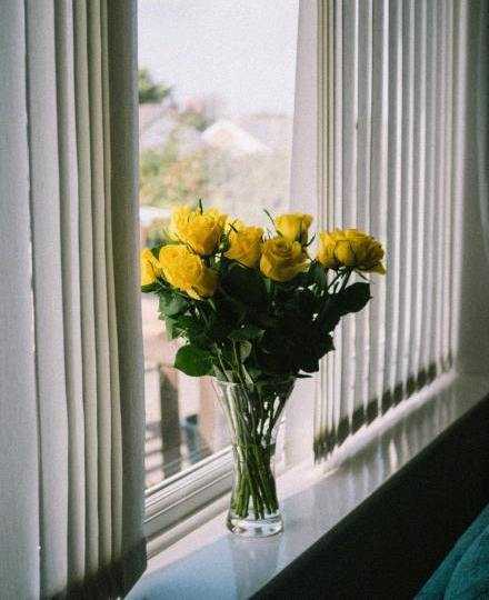 我一直都觉得 “后悔” 是在欺负以前的自己。请不要忘记，当初做决定的时候，你已经根据那时的情况做出最好的选择了。即使事后看觉得当时的决定很奇怪，但那时的你已经是被压力逼到走投无路的状态了。不要站在上帝视角去严厉地责备以前可怜的自己。