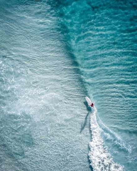 世界不曾偏爱哪一个不劳而获的人，亦不曾辜负每一个努力的人。