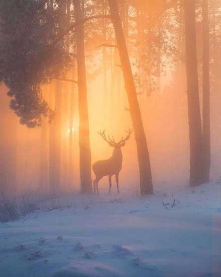 有时候断了退路 也许是一种前进的方式