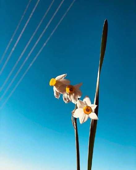 为人者，有大度成大器矣。早安。