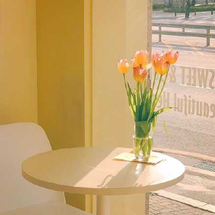 收获不是“一朝一夕”的事。需要的是“一如既往”的坚持，“一成不变”的乐观，“一门心思”的奋斗，“一丝不苟”的态度。