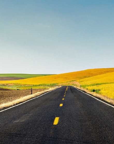 别停下，总会有条路给你走。早安。