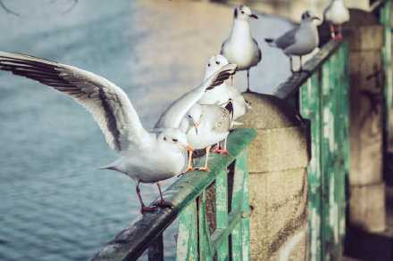 开始让人舒服的，一定是言语，后来，一定是人品。生活不全是利益，更多的是彼此成就，互相温暖。