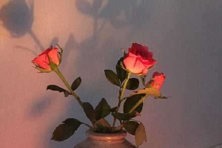 当下的确很难 但是别担心 好的都在未来等着你呢