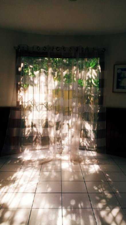 认真生活，抓住每一天细碎的日光。