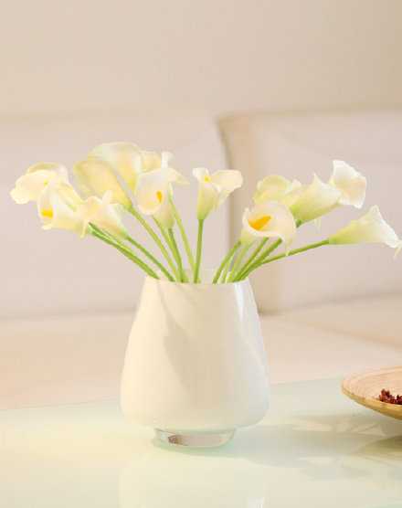 生活明朗 万物可爱 人间也值得