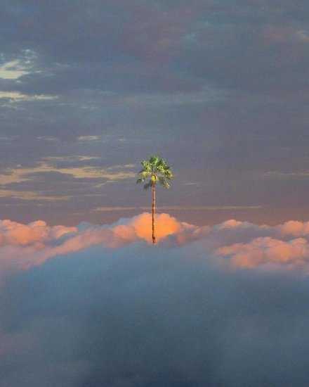 别的都能将就，梦想不能。