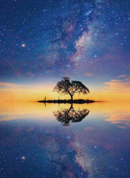 人越真诚，越能吸收来自于心灵深处的东西，来自于宇宙深处的灵性的东西。