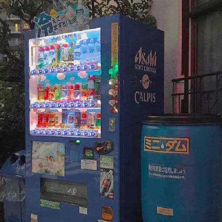 愿你过好每一个小日子