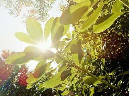 只要心中有光，就能照亮远方。