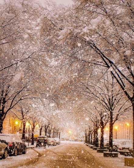 秋天说不完的话，留到冬天也可以呀！